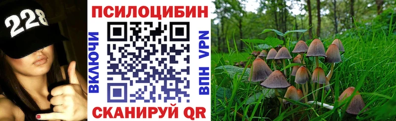 Псилоцибиновые грибы Psilocybine cubensis  ОМГ ОМГ tor  Гурьевск 